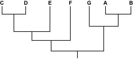 Which species shown below are most closely