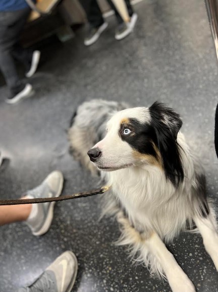 Using the Streets to Tell a Story of your City