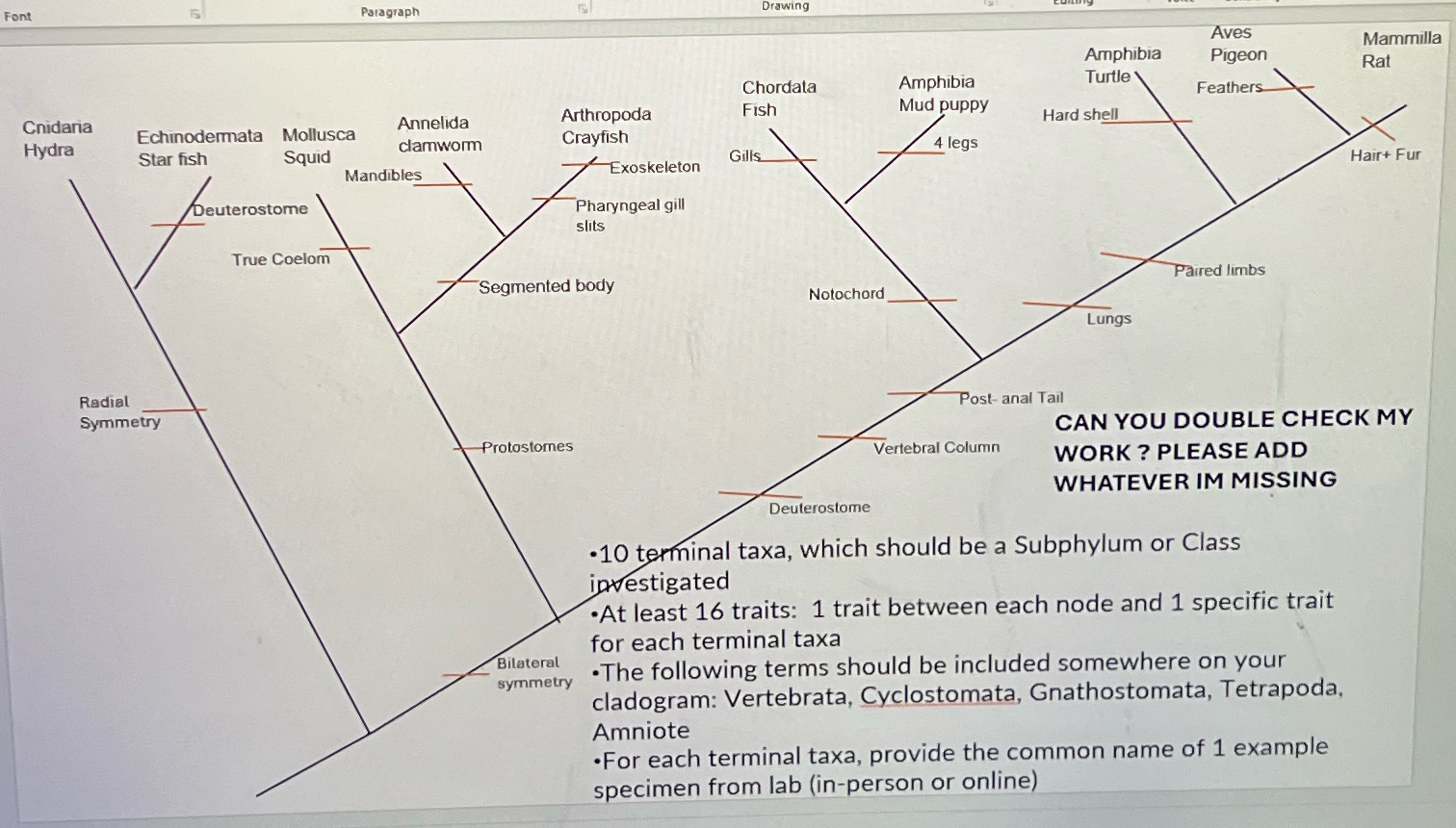 Please help me make revisions on a new cladogram