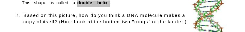 This shape is called a double helix 2. Based on