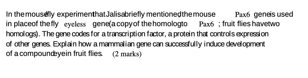 In the mousefly experimenthat Jalisabriefly