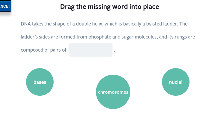 which answer is correct Drag the missing word