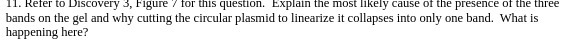 11. Refer to Discovery 3, Figure / for this