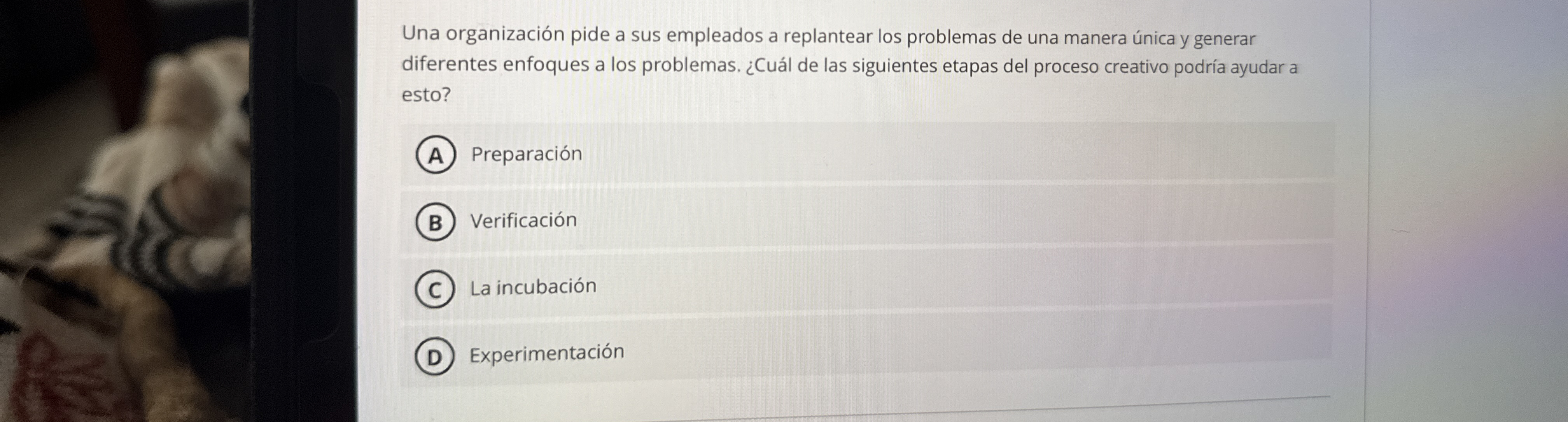 Una organizaci n pide a sus empleados a