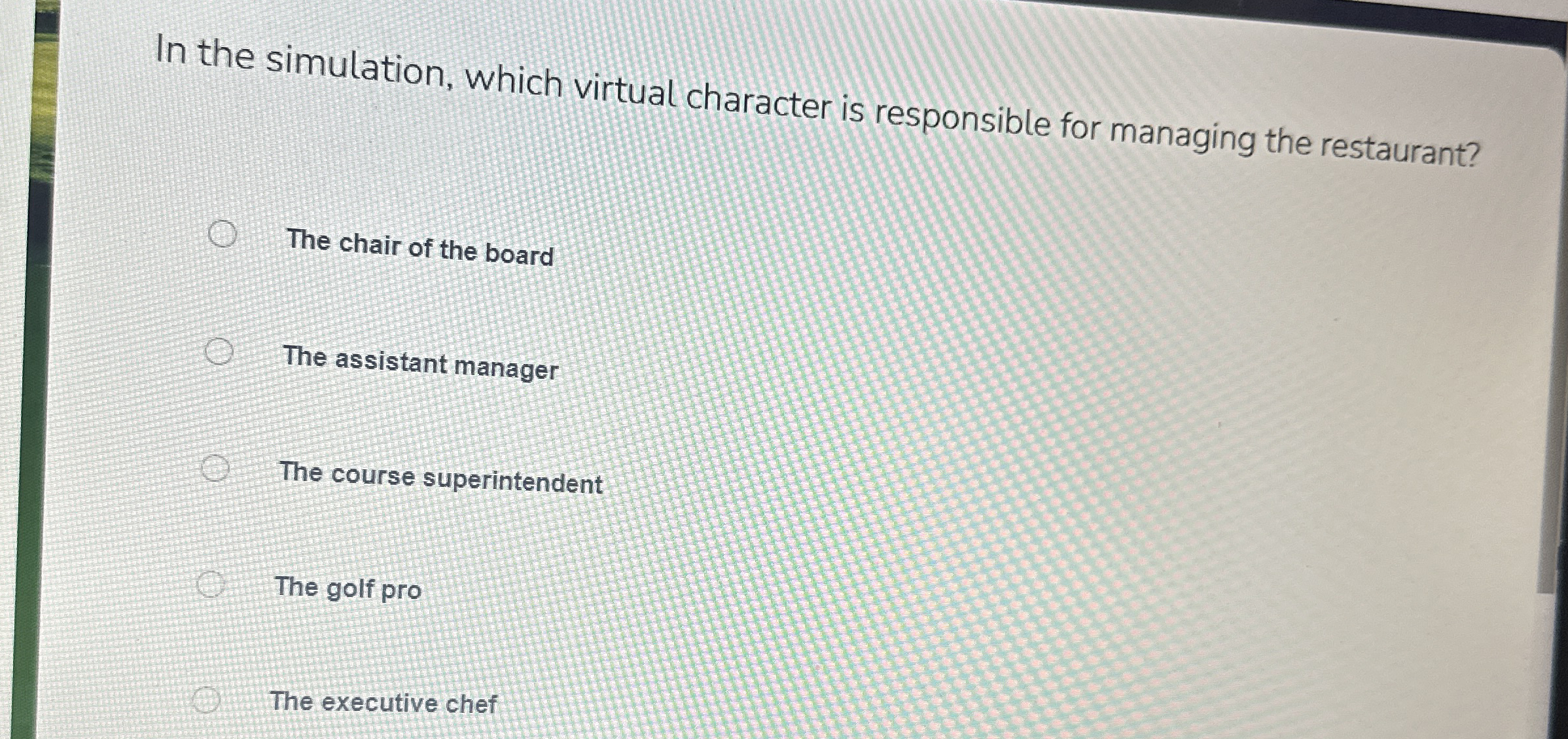 In the simulation, which virtual character is