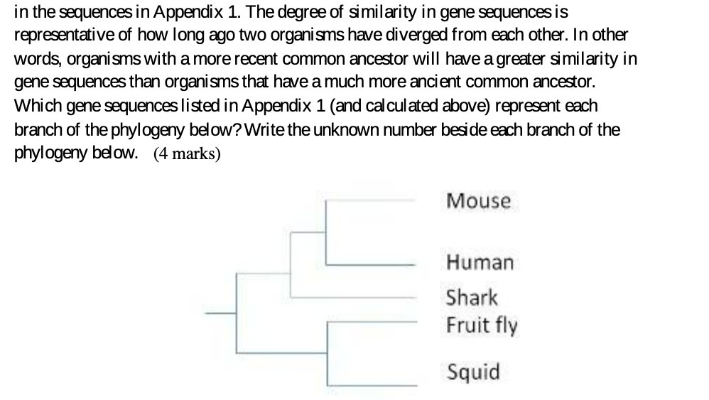 in the sequences in Appendix 1. The degree of