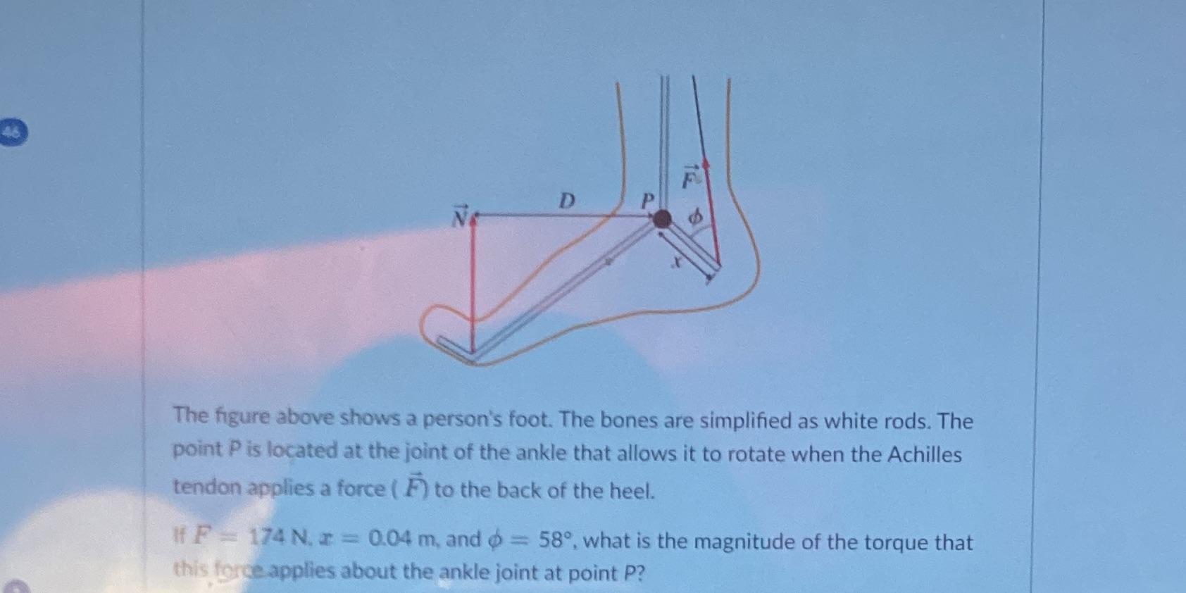 D P No The figure above shows a person's