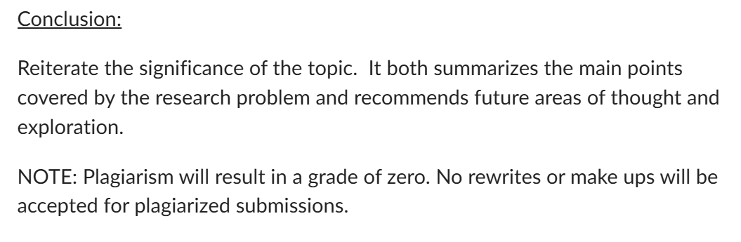 COMM-3020 Professional Communication Assignment