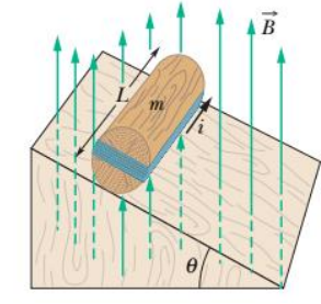 Good evening, I would like to know if you could