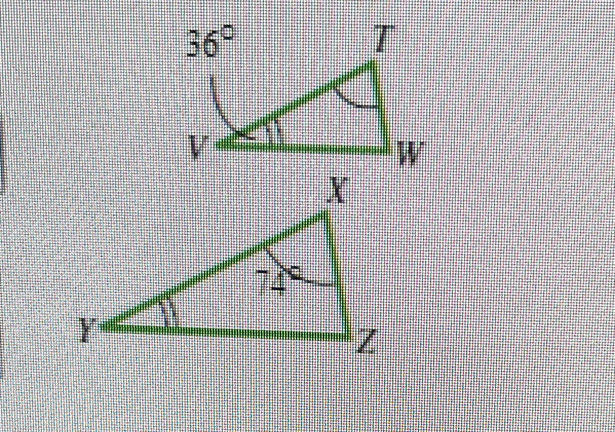 Find all unknown angle measure in the pair of