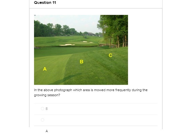 Question 11 C B A In the above photograph which