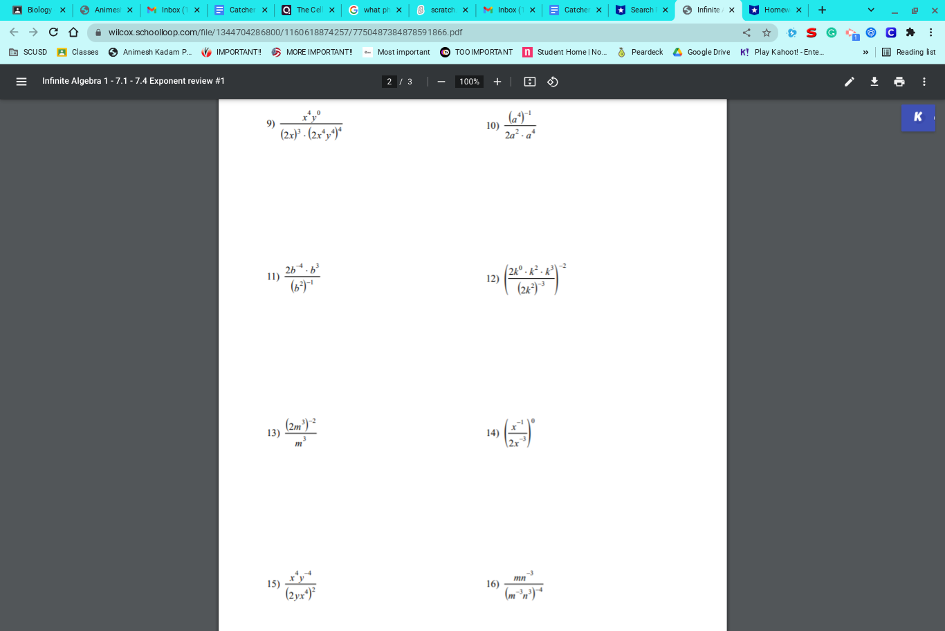 Biology x Animes! X M Inbox (1 x _ Catcher x @