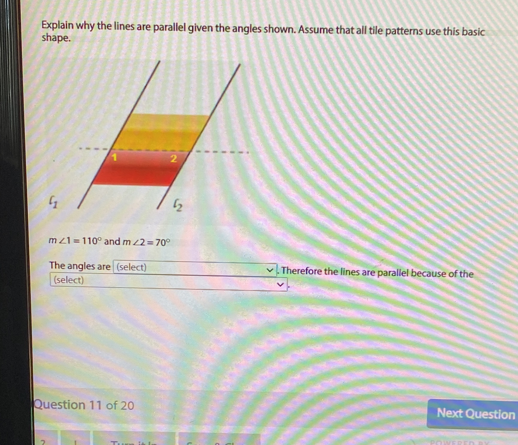 Answer the following question Explain why the