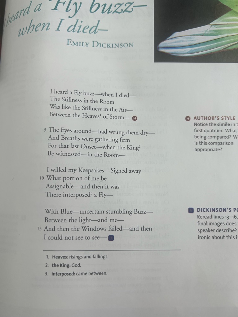 How would you summarize lines 5-8 of "I heard a