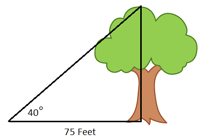 What is the missing length of the triangle? \f