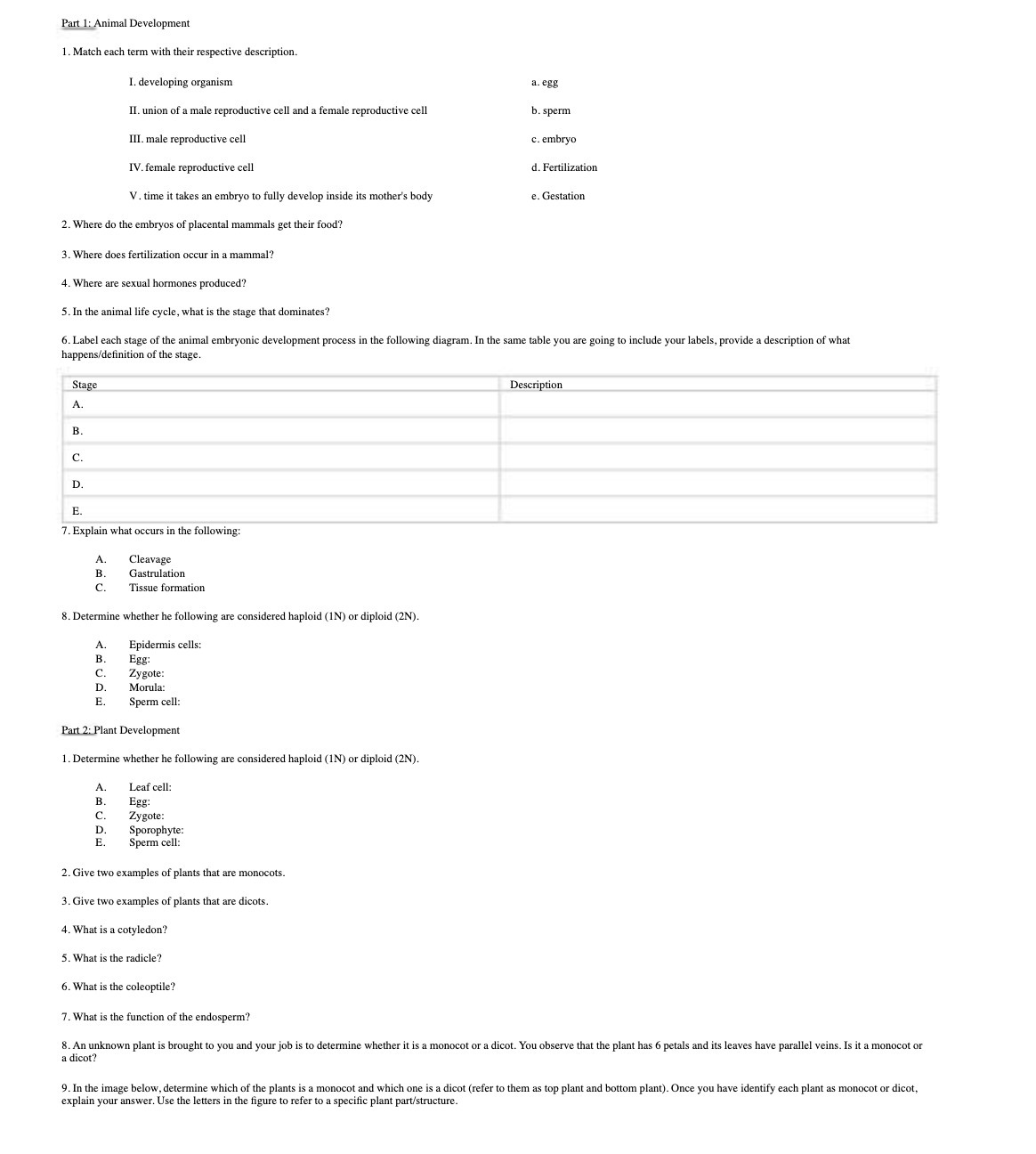 Part 1: Animal Development 1. Match each term