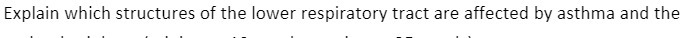 Explain which structures of the lower respiratory