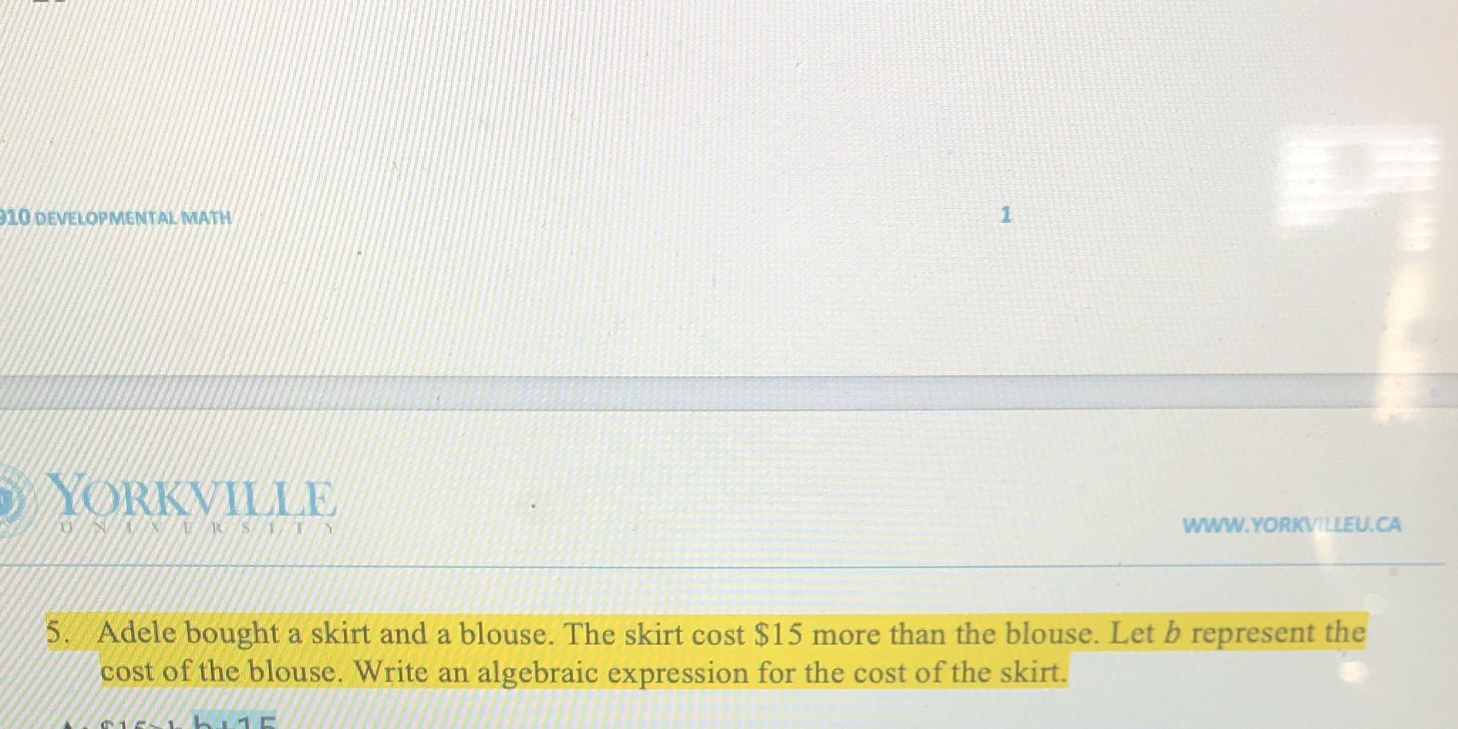 10 DEVELOPMENTAL MATH YORKVILLE WWW.YORKVILLEU.CA