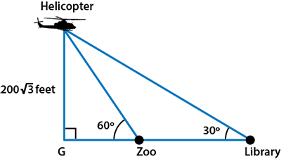 Max observes the zoo and the library from a