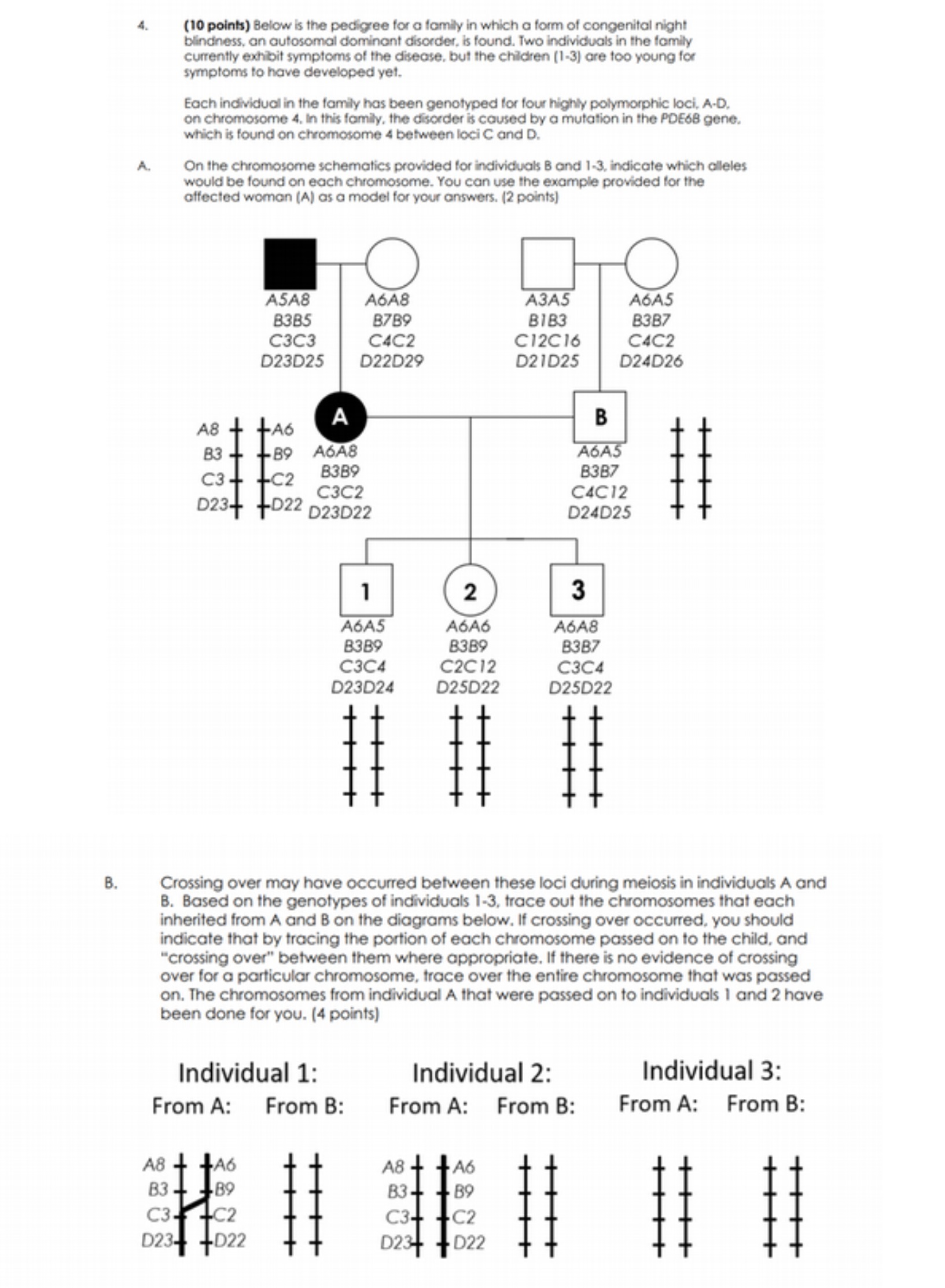 (10 points) Below is the pedigree for a family in