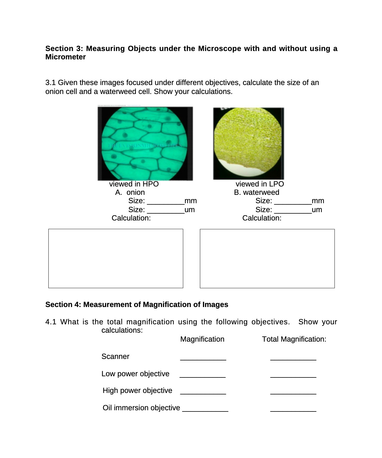 Section 3: Measuring Objects under the Microscope