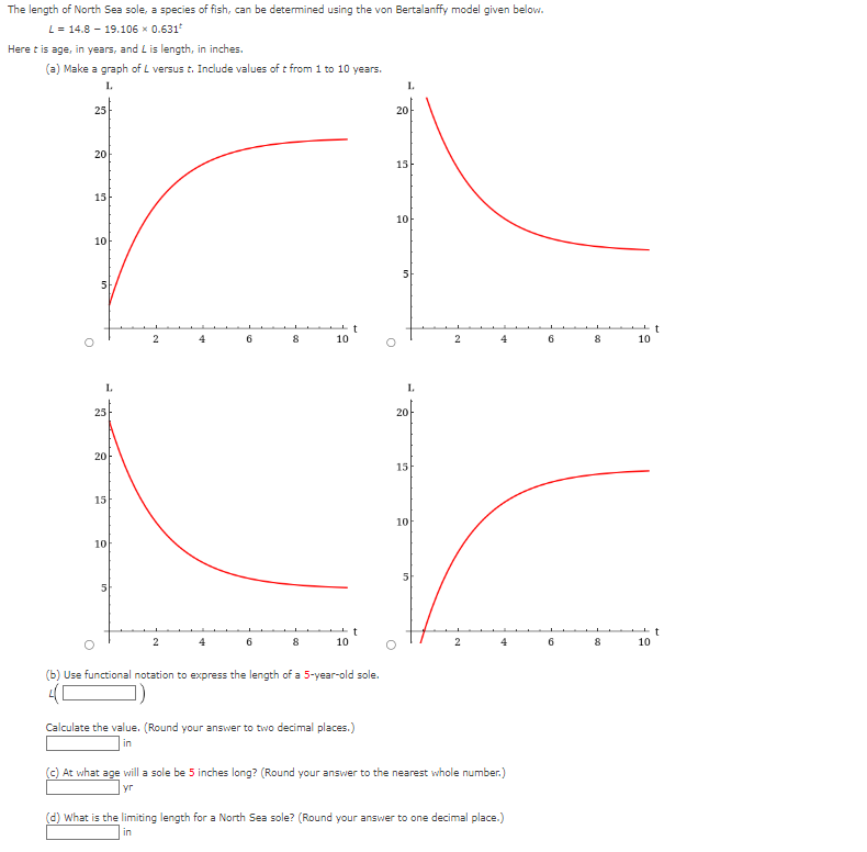 26 The length of North Sea sole, a species of