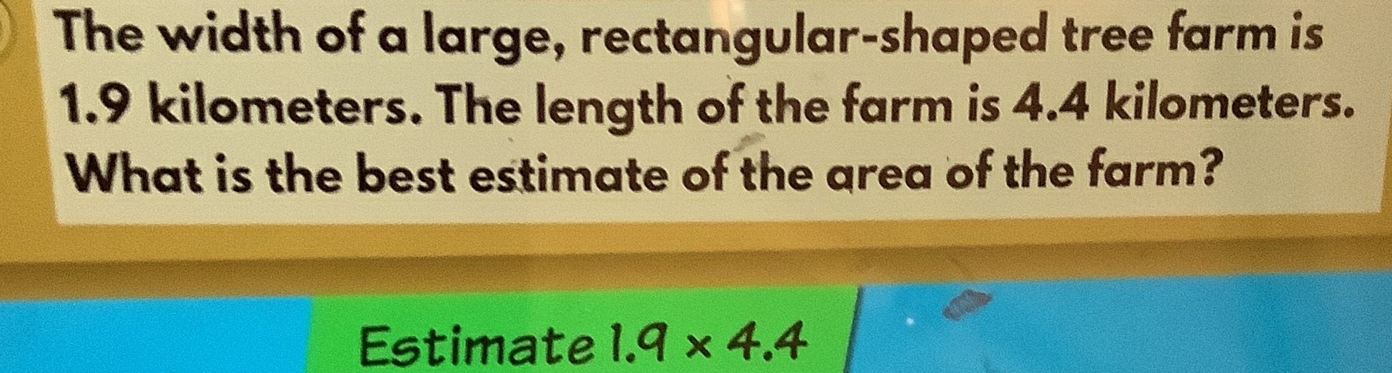 The width of a large, rectangular-shaped tree