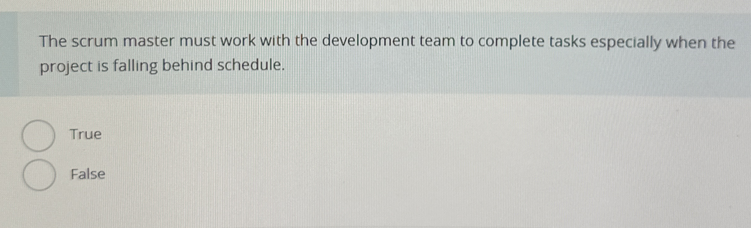 The scrum master must work with the development