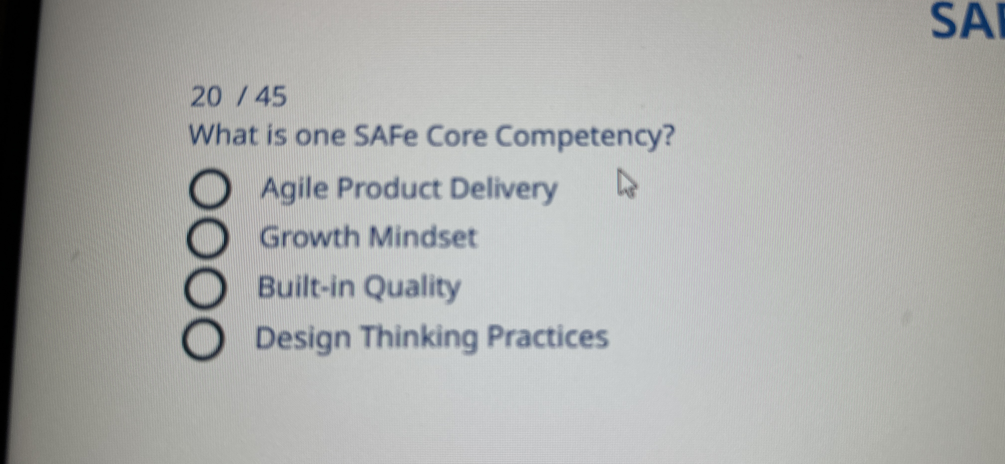 SA 2 0 4 5 What is one SAFe Core Competency?