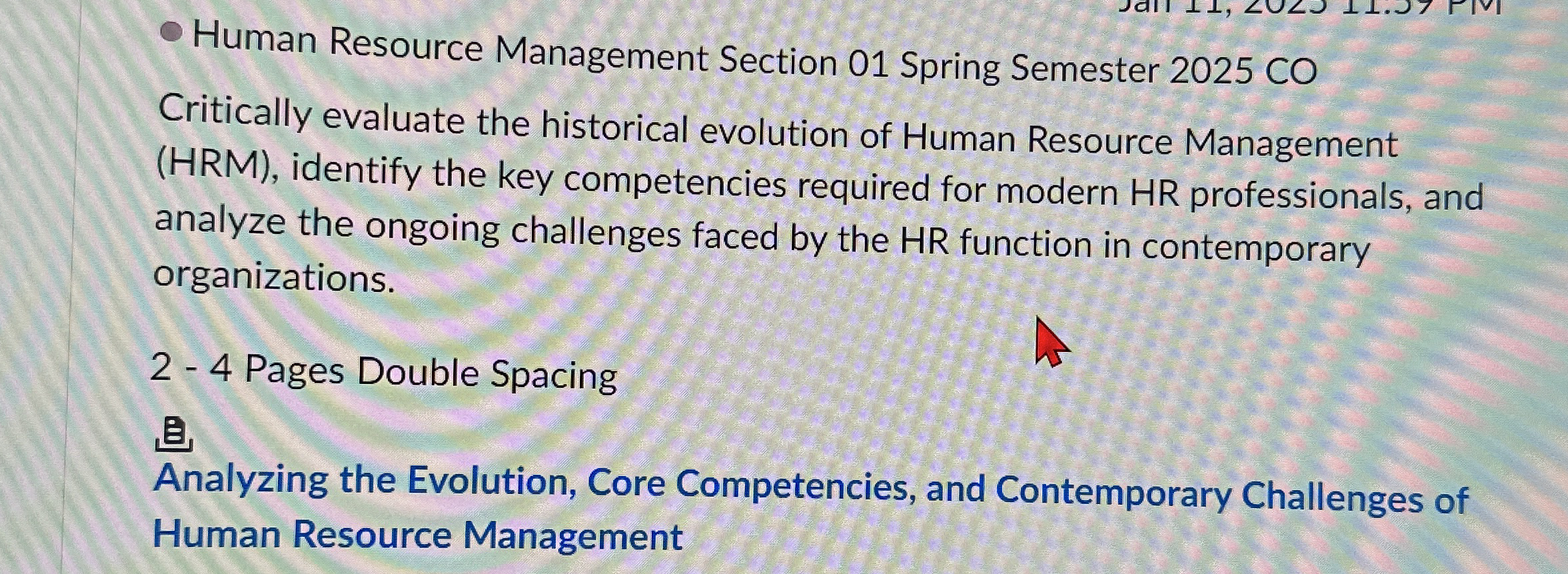 Human Resource Management Section 0 1 Spring