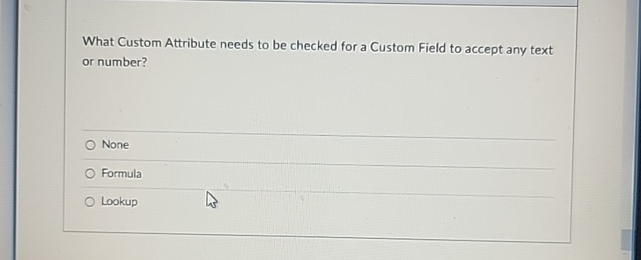 What Custom Attribute needs to be checked for a