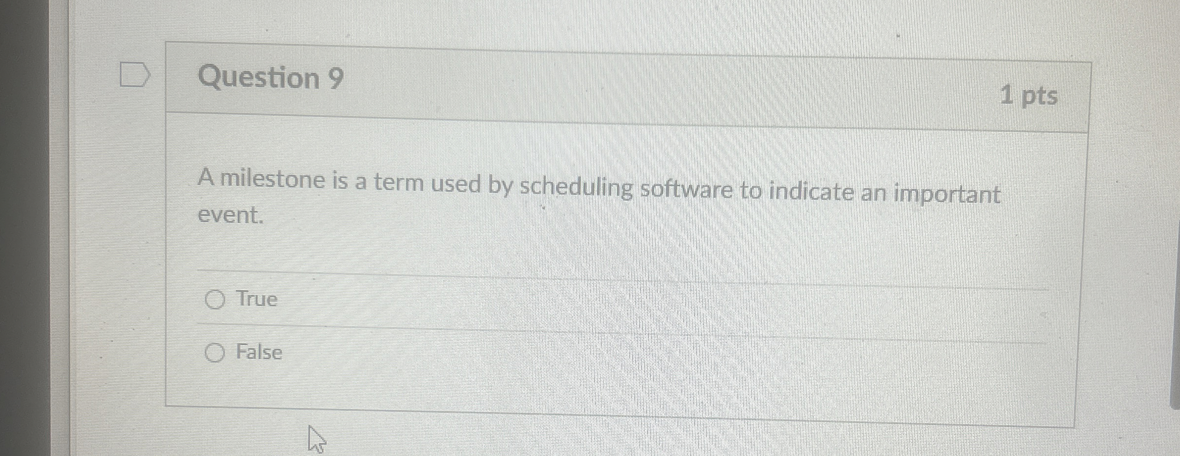 Question 9 1 pts A milestone is a term used by