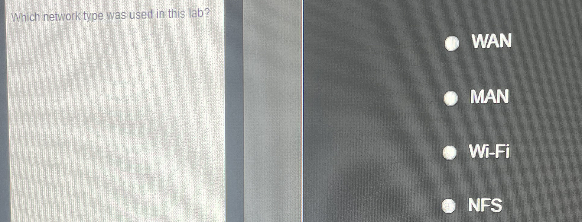 Which network type was used in this lab? WAN MAN