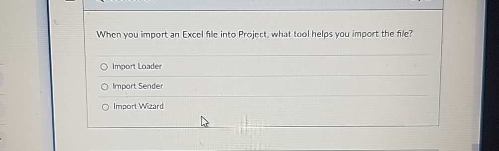 When you import an Excel file into Project, what
