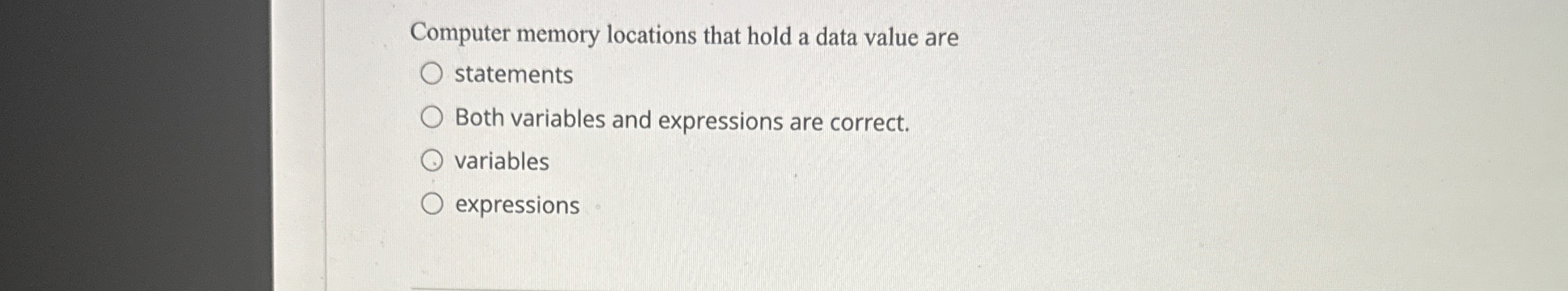 Computer memory locations that hold a data value