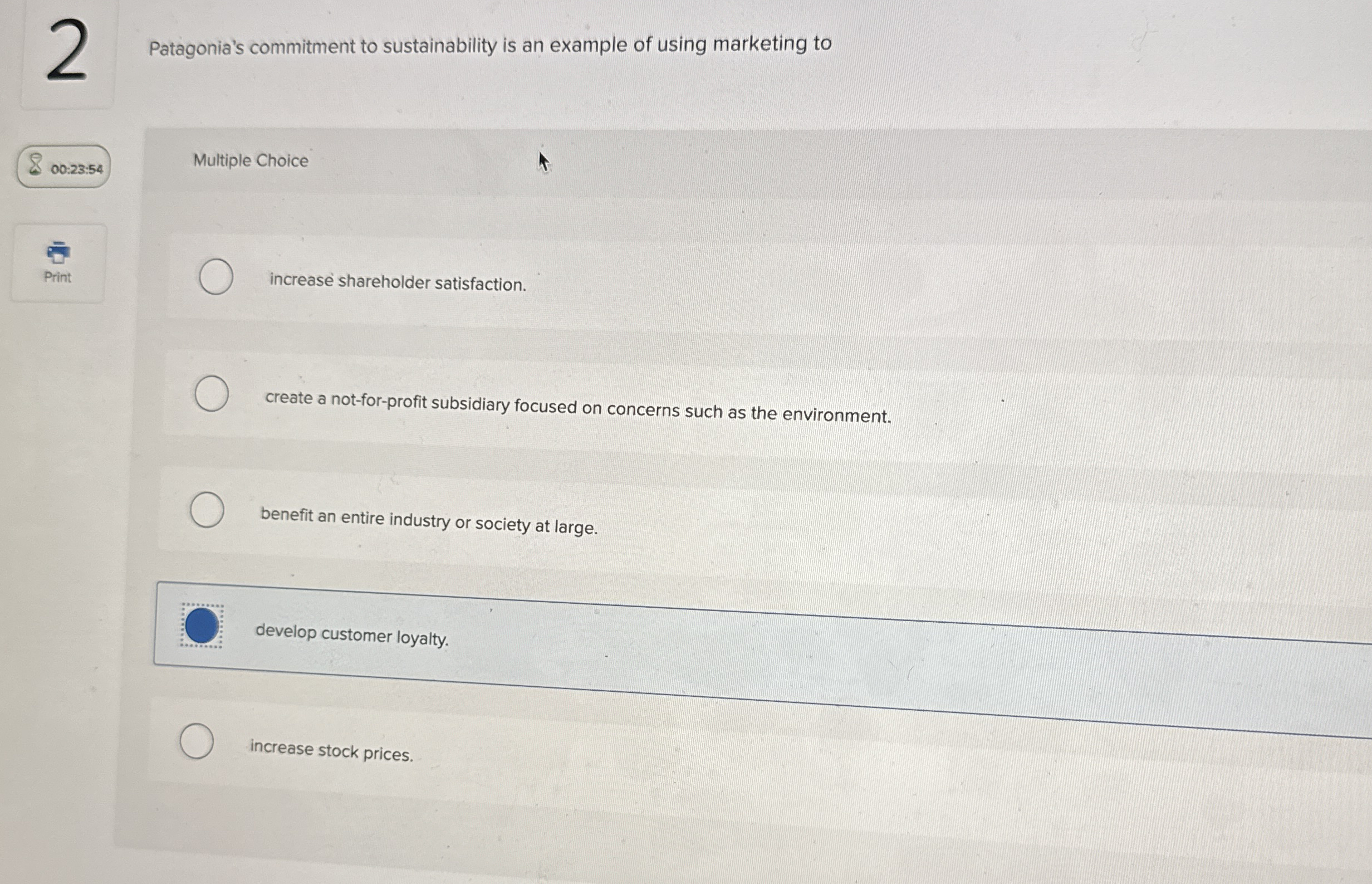 2 Patagonia's commitment to sustainability is an