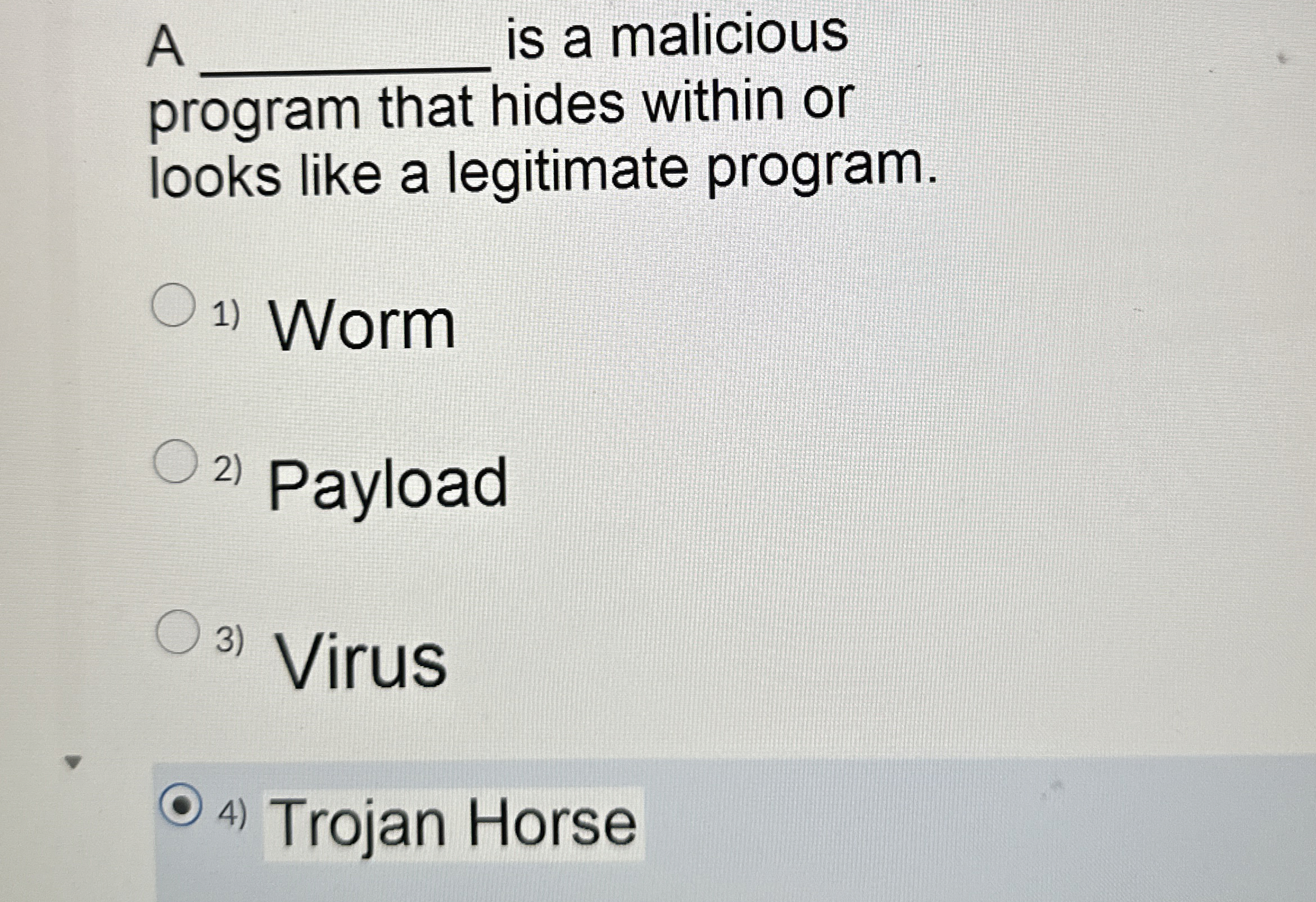 A q , is a malicious program that hides within or