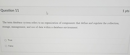 Question 1 1 1 pts The tern database system