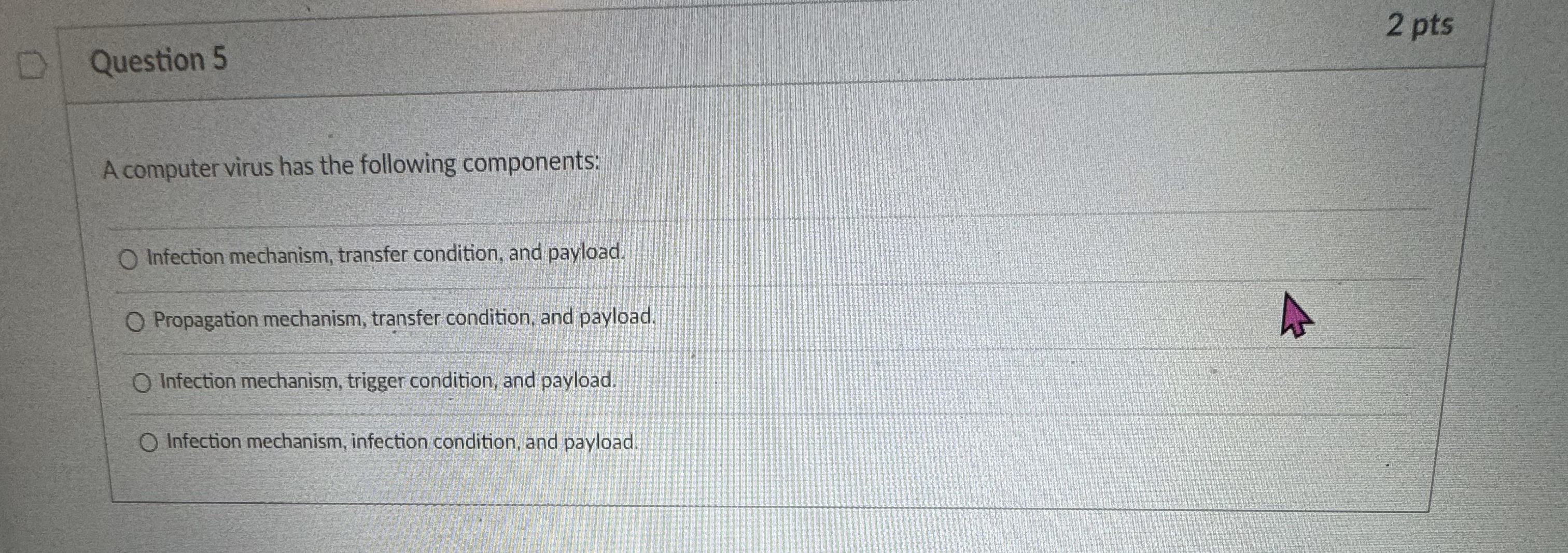 Question 5 2 pts A computer virus has the