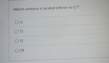 Which vertebra is located inferior to C 7 ? L 1 T