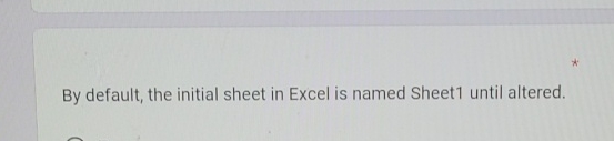 By default, the initial sheet in Excel is named