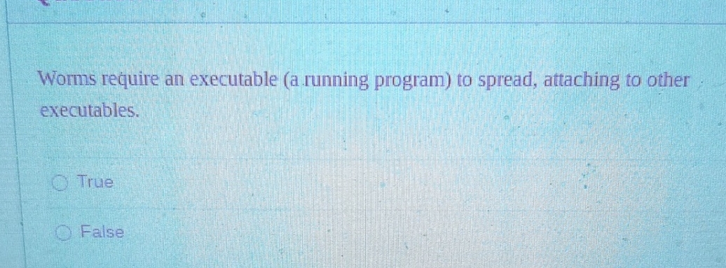 Worms require an executable ( a running program )