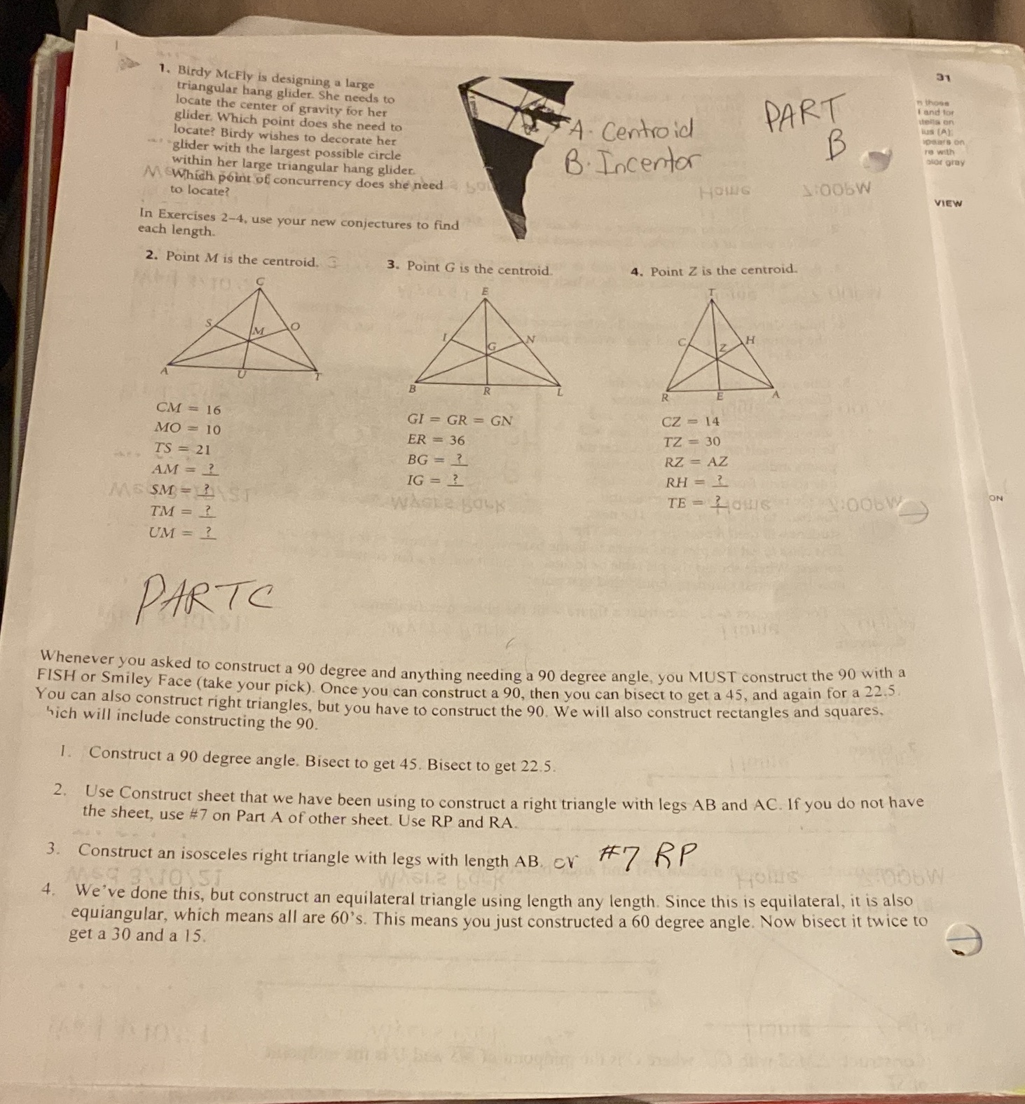 31 1. Birdy McFly is designing a large triangular