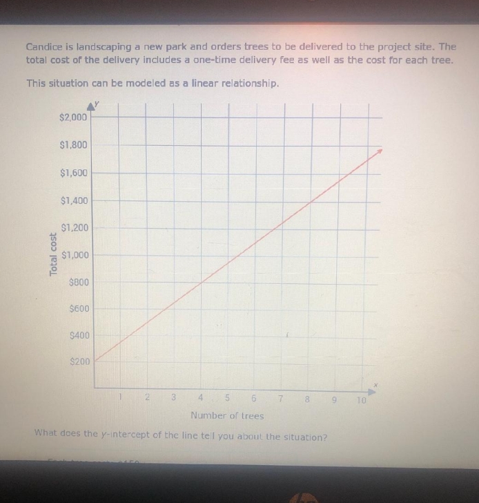 what does the y- intercept tell you about the