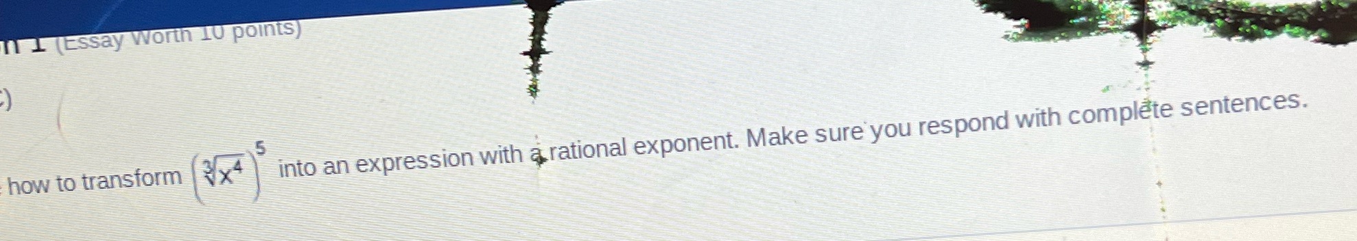 Explain n 1 (Essay Worth 10 points) 5 how to