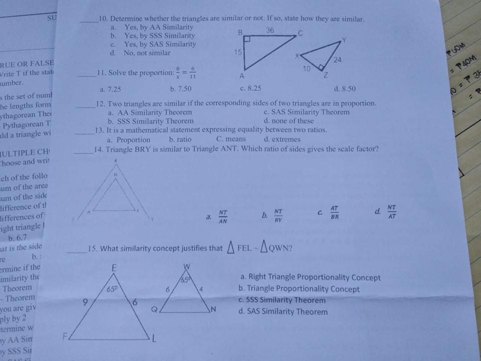 TRUE OR FALSE Directions: Write T if the