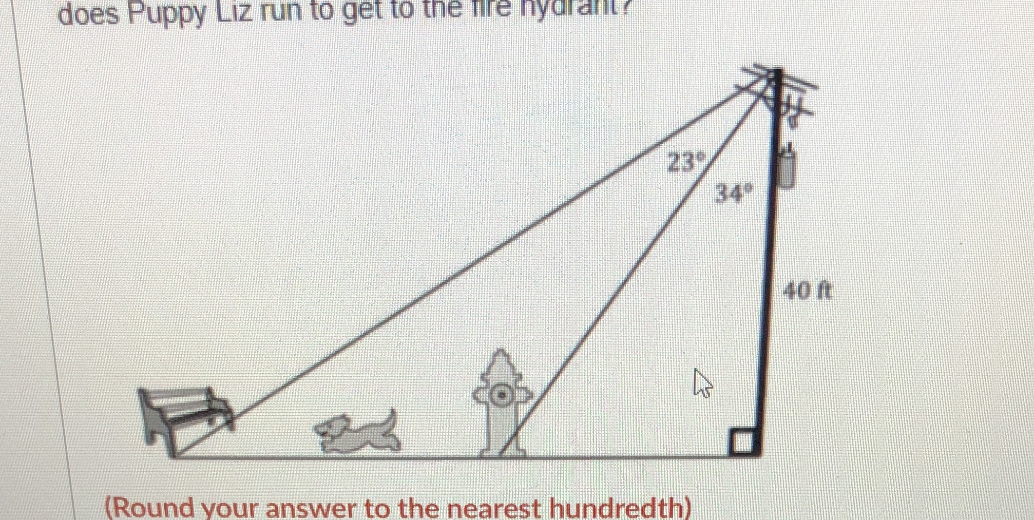 does Puppy Liz run to get to the life hydr alll?