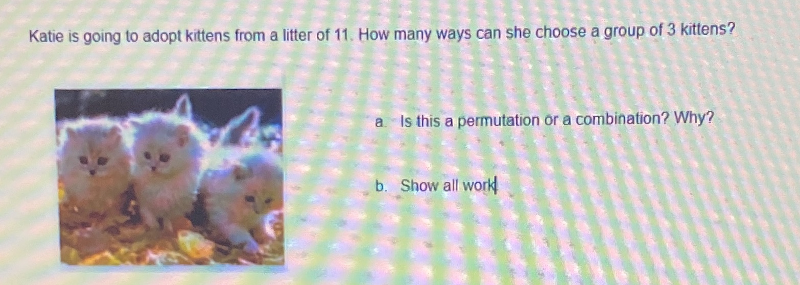 can you show all the work for this answer Katie