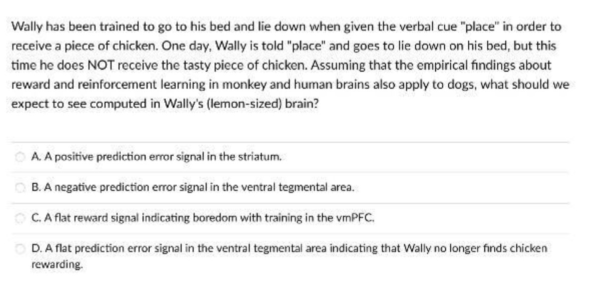 Wally has been trained to go to his bed and lie