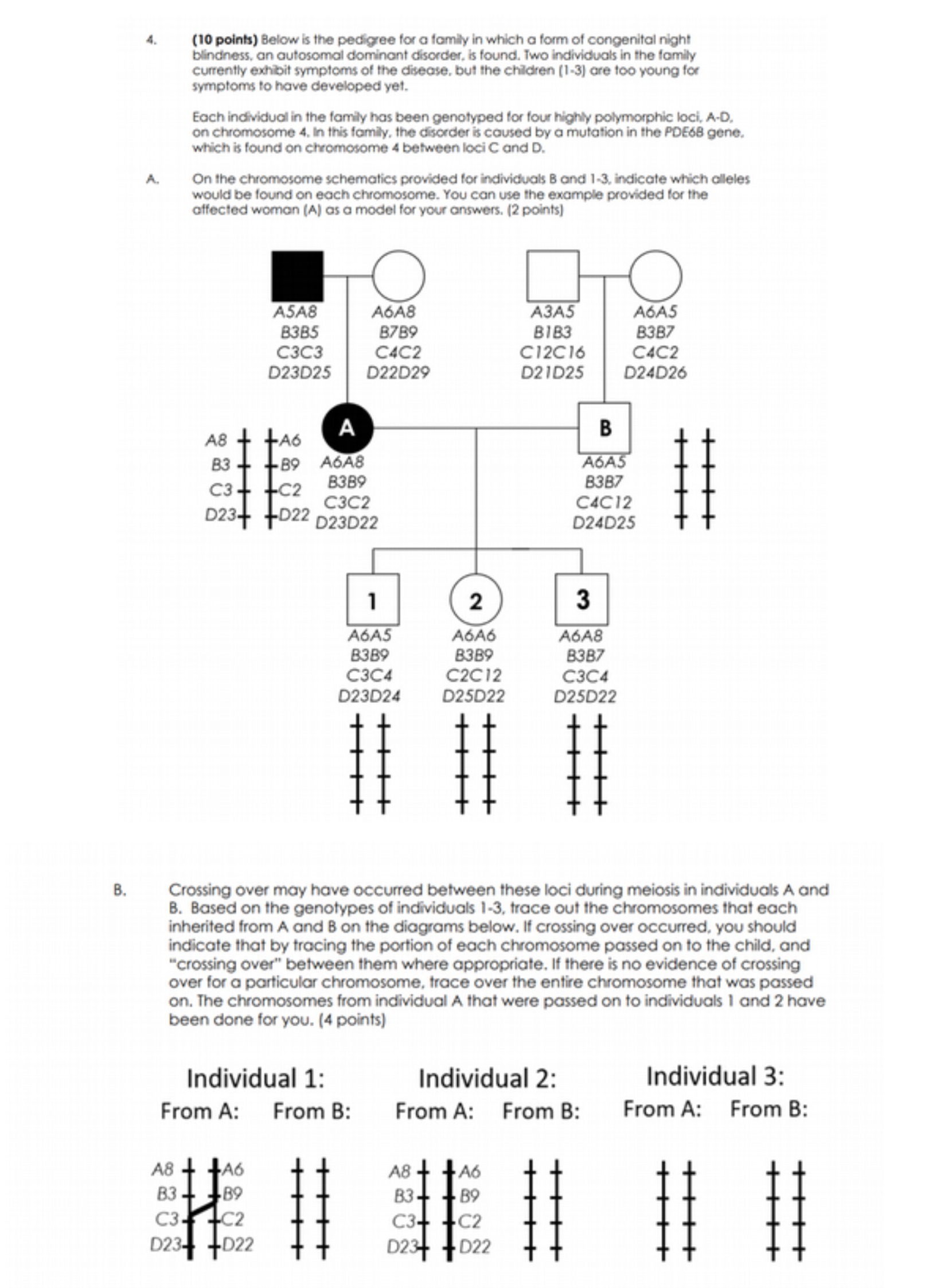 (10 points) Below is the pedigree for a family in